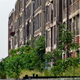 Image for article titled The Feral Factories Of Detroit